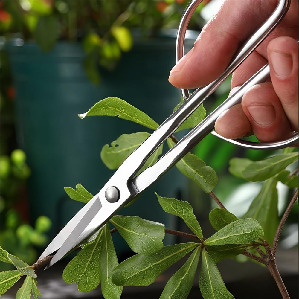 Professional Sharp Garden Scissors Tree Hand Secateurs Garden Fruit-picking Scissors Gardening Scissors Pruning Scissors