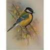 5D Diamond Painting Birds Kit DIY Full Drill Round Diamond Embroidery Animal Mosaic Picture of Rhinestones Home Decoration