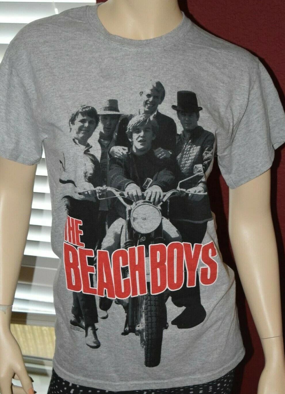 

The Beach Boys Summer Days T-Shirt Mens Small Gray NWOT 4XL