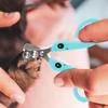 Cat Nail Trimmer Kitten Nail Clipper Professional Claw Trimmer Scissors Grooming Tool For Dog Puppy Rabbits Birds Hamster