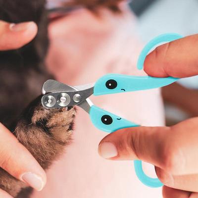 Katzennagelschneider Kätzchennagelschere Professioneller Krallenschneider Schere Pflege-Tool für Hund Welpe Kaninchen Vögel Hamster