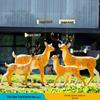 Luminous Fiberglass Sika Deer Sculpture for Garden Lawn Decoration