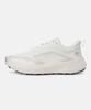 Descente Flyridge Trail Running Shoes Beige (Sp313Rrn83) (A Type)