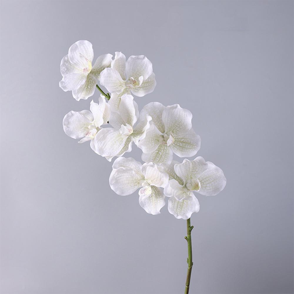 Plastic Phalaenopsis Branch Moisturizing Real Touch Orchids Simulation Flower  Office Decor