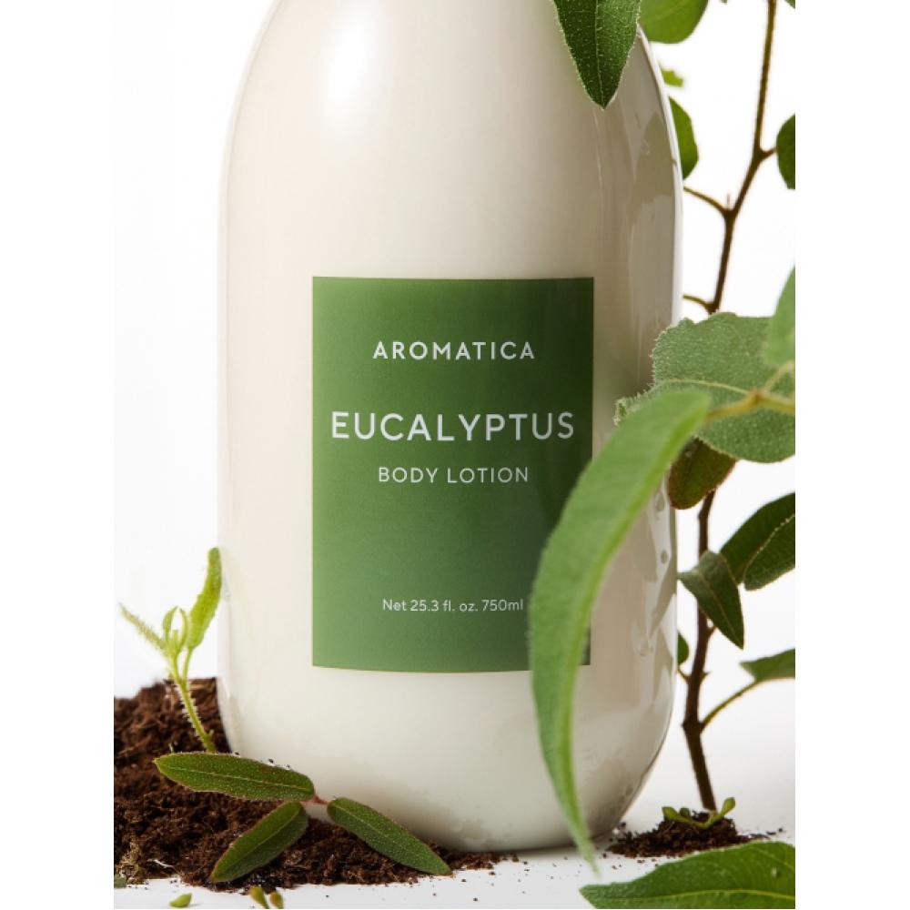 AROMATICA Eucalyptus Body Wash 1l   Body Lotion 750ml