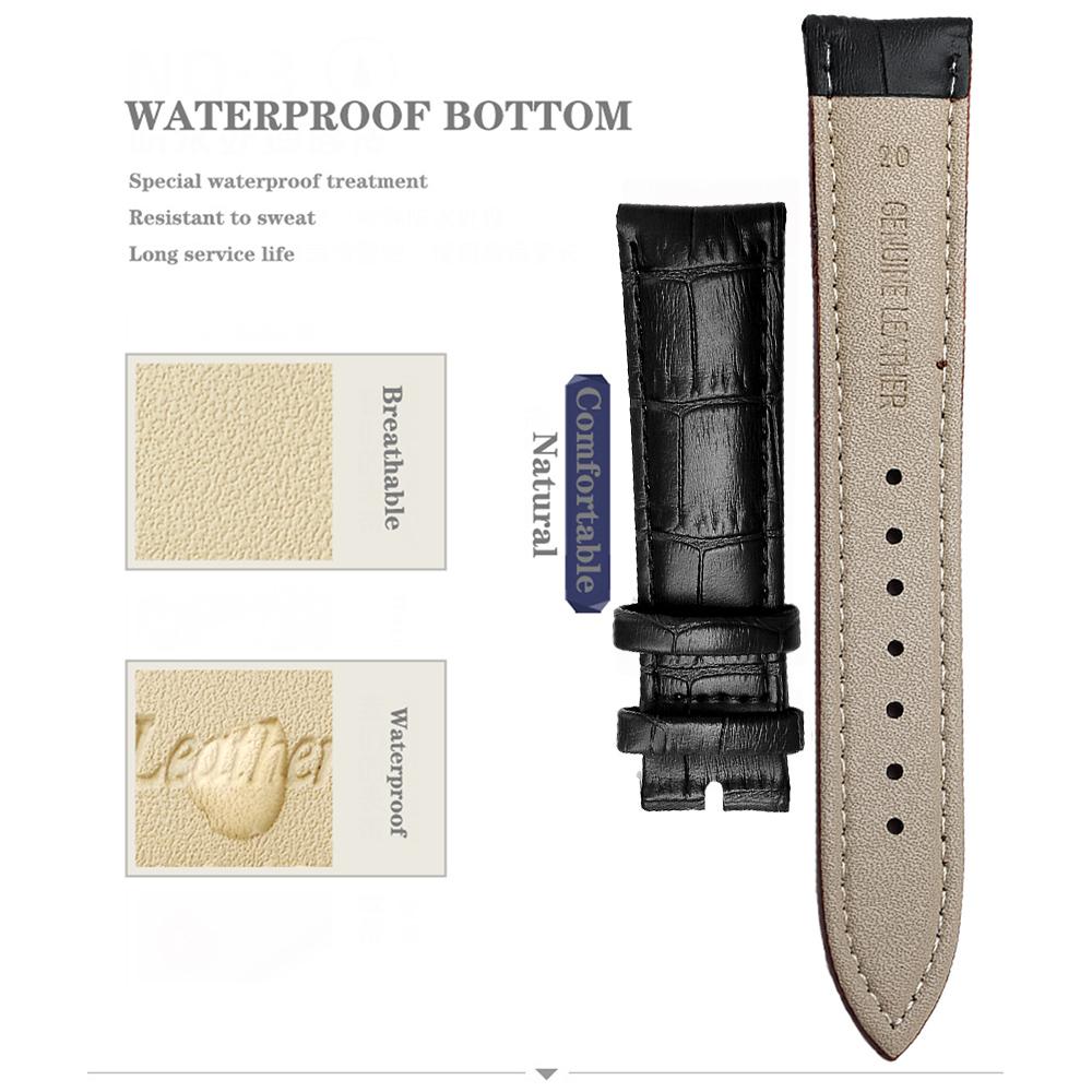 Cowhide Genuine Leather Watch Strap 12/14/16/18/20/22/24 mm Watch Pin buckle Band Soft Wrist Watchband Bracelet + Tool