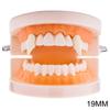 Halloween Vampire Fangs & Zombie Teeth Cosplay Props
