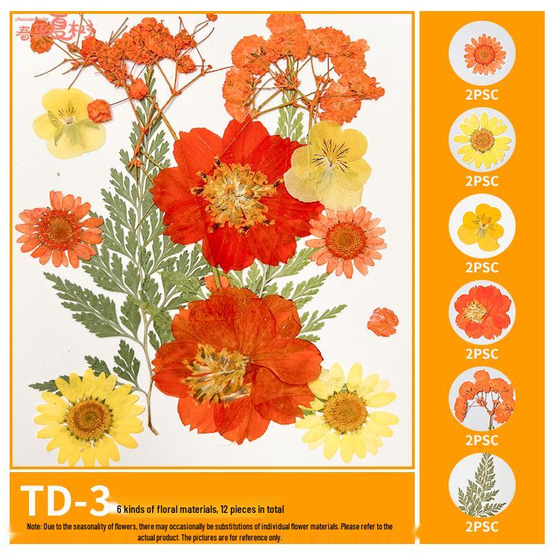 Handmade Pressed Flower Bookmark and Epoxy Sticker Pack with Real Leaf and Plant Specimens for DIY Face Makeup.