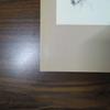 [USED] Andrew Wyeth The Helga Pictures English Book Art Collection