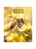 Buch Bees : Amazing Photos and Fun Facts Book