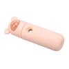 Facial Mister Handheld 18ML Water Tank Nano Mist Sprayer for Outdoor Travel Camping Hiking Bear