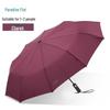 TianTang Automatic Reinforced Umbrella