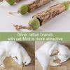 Pure Natural Cat Teeth Cleaning Stick Catnip Actinidia Fruit Cat Molar Toothpaste Stick Toothpaste Matatabi Stick