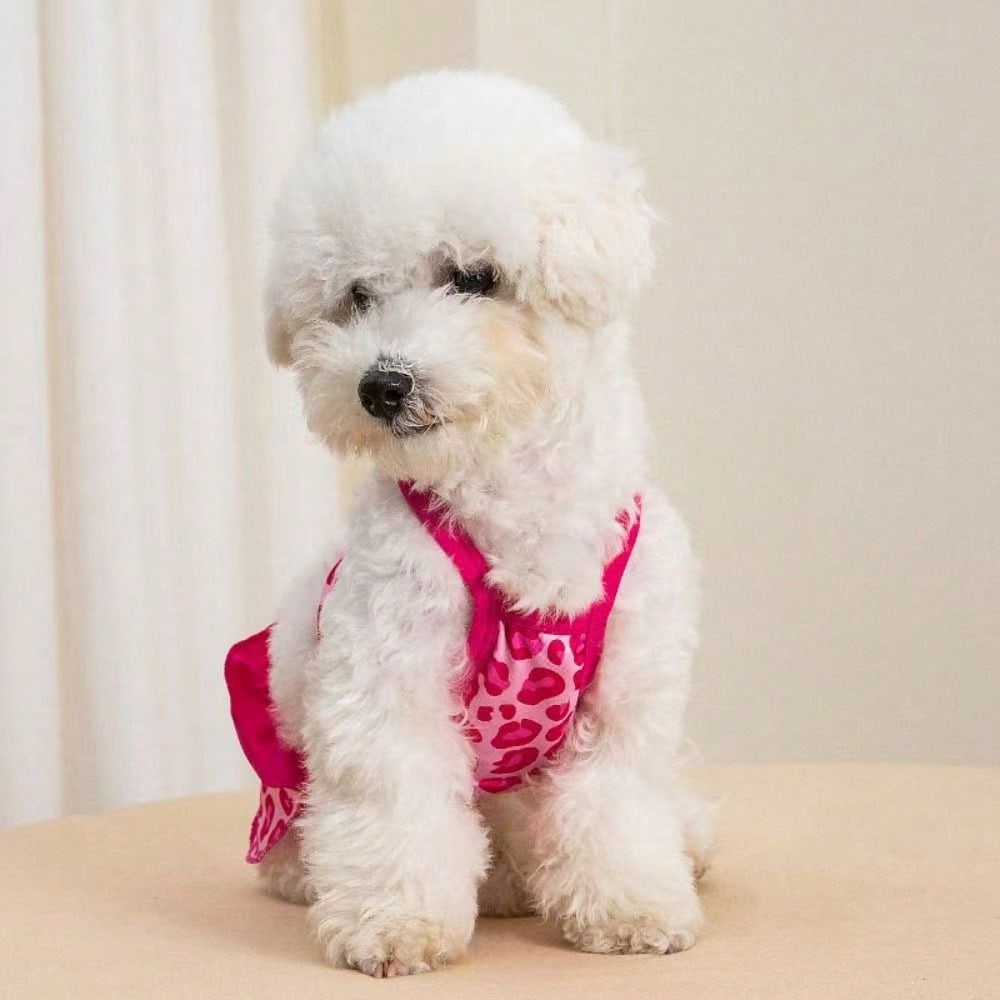 Pet Dog Apparel: Camisole Lace Printed Dress for Daily Wear & Outdoor Photoshoots;Cute Small Dog Outdoor Going-Out Dresses - Summer Outfit