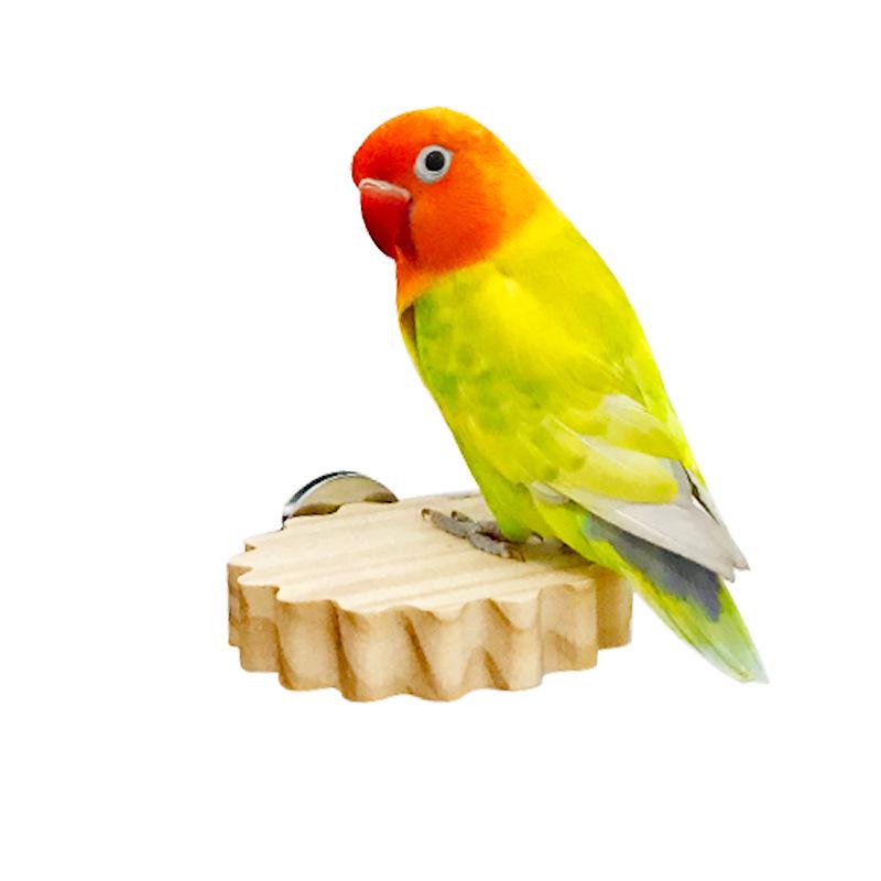 Solid Wood Parrot Perch: Budgie, Cockatiel, Lovebird Climbing & Rest Station