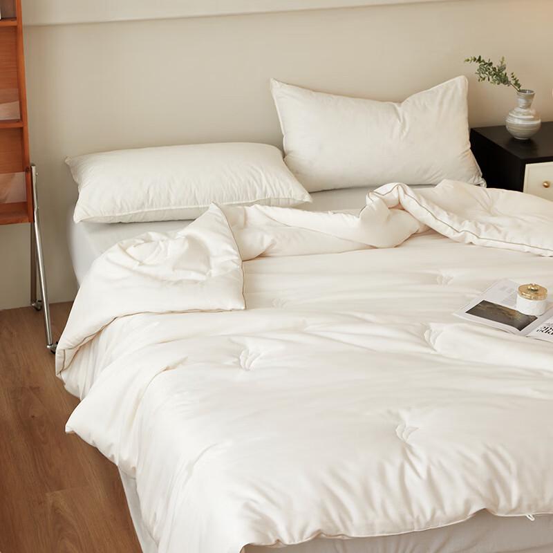 Brangdy Jacquard Soy Fiber Spring/Autumn Comforter