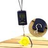 40kg Multifunctional Mini Electronic Digital Portable Hanging Scale Weighs Tool For Fishing Luggage Suitcase Travel Hook Scales+