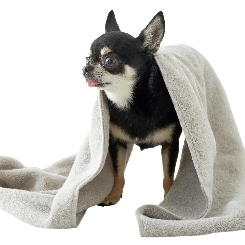 Imabari Certified Pet Towel Slim Bath Towels for Cats and Made In BMP 34 X 100 Cm Slim Bath Premium Dogs, KURASHITO, 3-Piece Set, Japan, 100% Cotton,