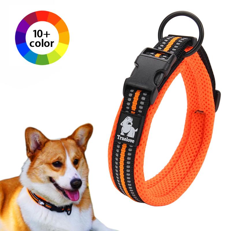 Truelove Hundehalsband zum Gassigehen Komfortgepolstert mit Schnalle Nylon Reisehalsband Taktisches Hundezubehör 11 Farben Größe XXS-XXXL