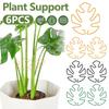 6pcs Climbing Plants Support Clips Alocasia Monstera Plant Support Plants Accessories Leaf Stabilizer Plant Stem Fixation Bracke