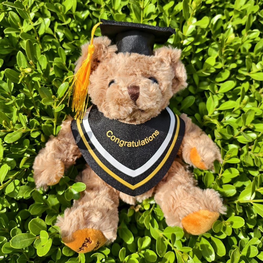 Cute Doctor Bear Doll Graduation Season Bear Animal Doll Cartoon Graduation Bear Graduation Gift Style 3