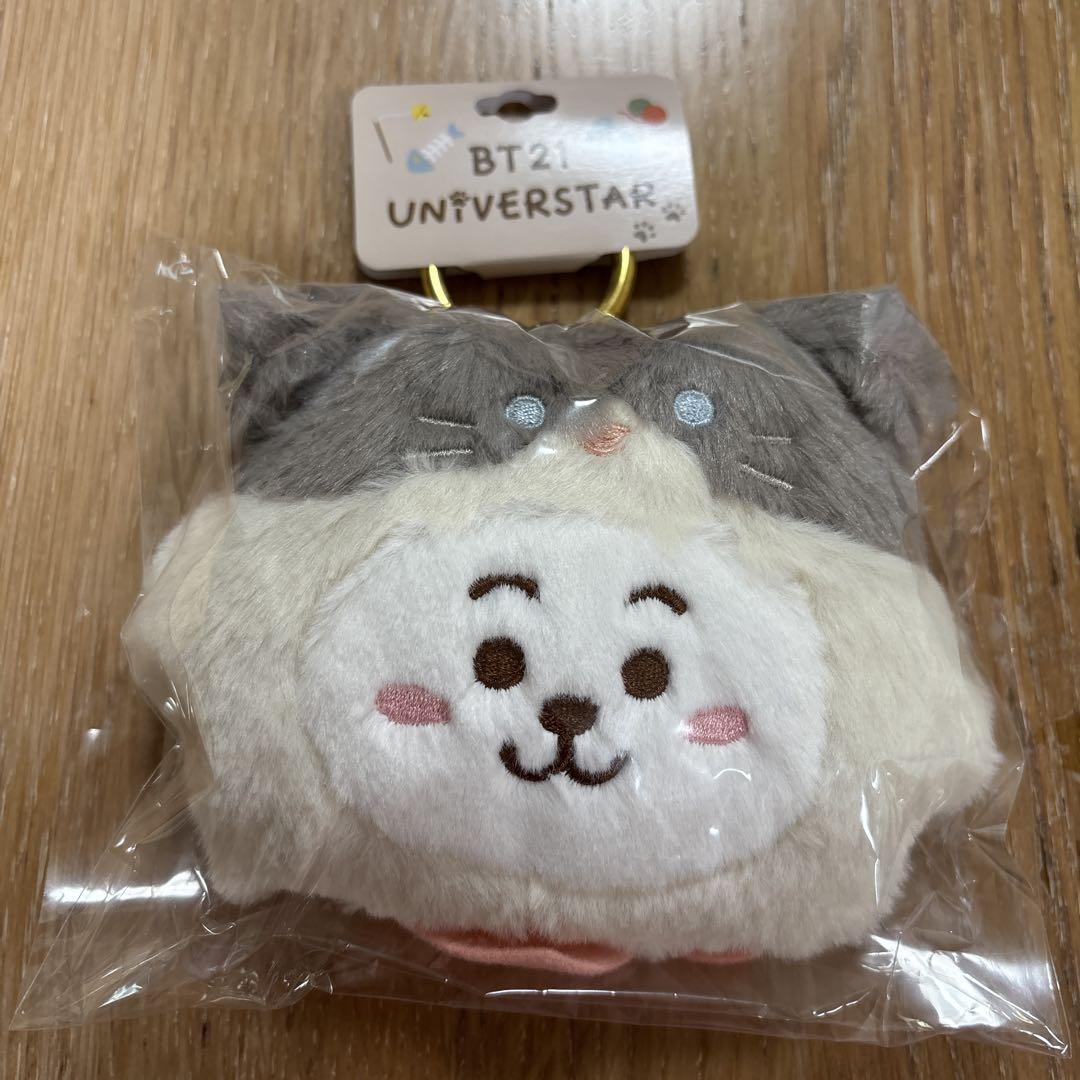 

[USED] BT21 CAT DAY Plush Pass Case RJ