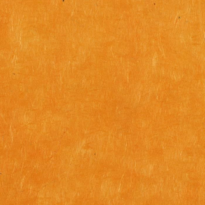 Papier Lokta Mango - PAPER TREE - 50x70 - Lot de 10 feuilles - Écologique - Fait main