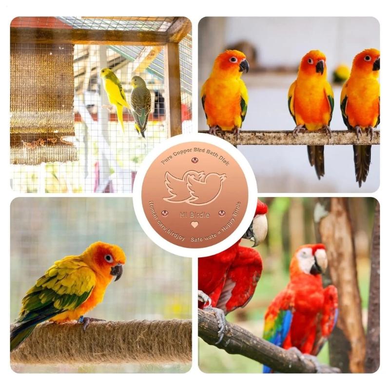 Coppers Cleaning Plate For Birdbaths Eliminates Frequent Maintenance Saves 120 Minutes Monthly