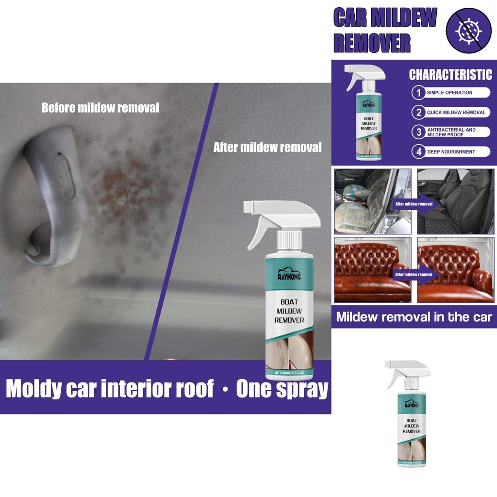 Rayhong Car Mold Remover Foam Cleaner For Upholstery Leather Seats And Interiors