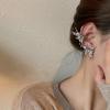 Pleated Butterfly Earrings, European and American Stud Earrings, Earbone Clips, Integrated Spring and Summer New Personalized Metal Earrings
