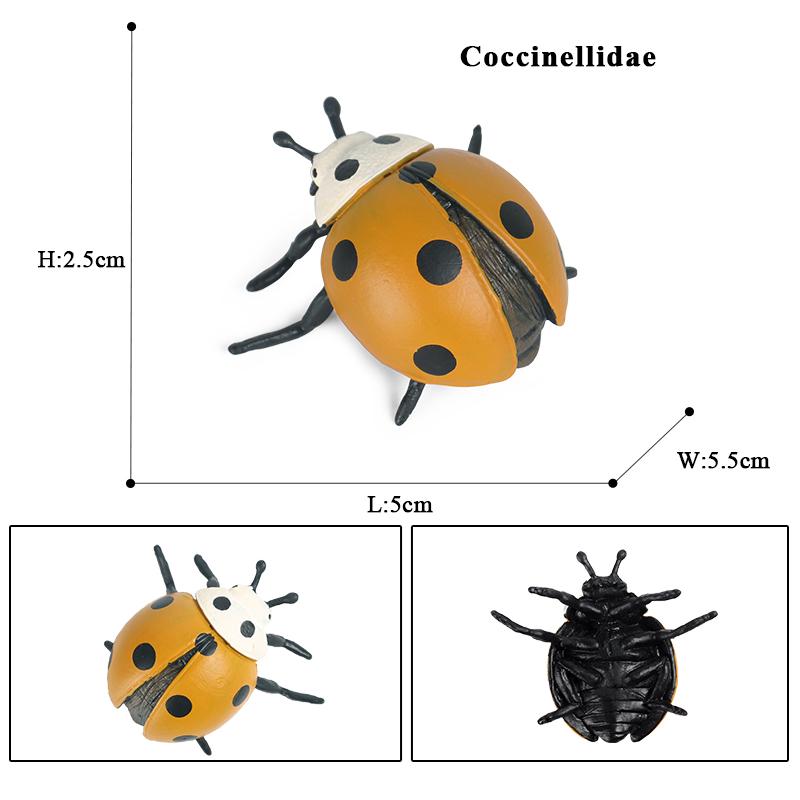 Oenux Wild Insect Animals Model Mantis Grasshopper Butterfly Bee Beetle Action Figures PVC Science Education Collection Kid Toy