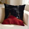 No  Spanish Driver CCarlos SSainz   Square DoubleSided Printed Pillow Case Bedroom Bedside Pillow Sofa Cushion Cover