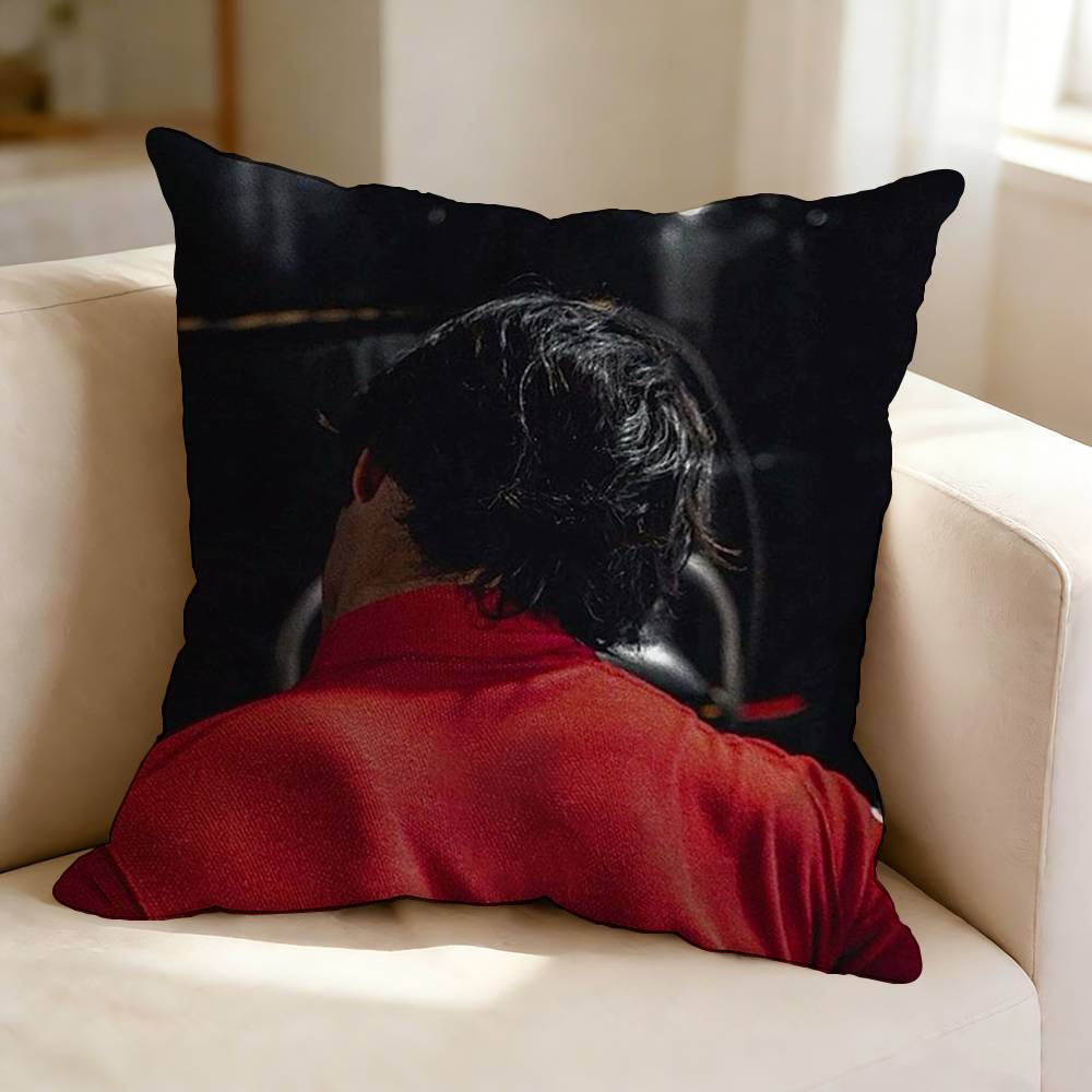 No  Spanish Driver CCarlos SSainz   Square DoubleSided Printed Pillow Case Bedroom Bedside Pillow Sofa Cushion Cover