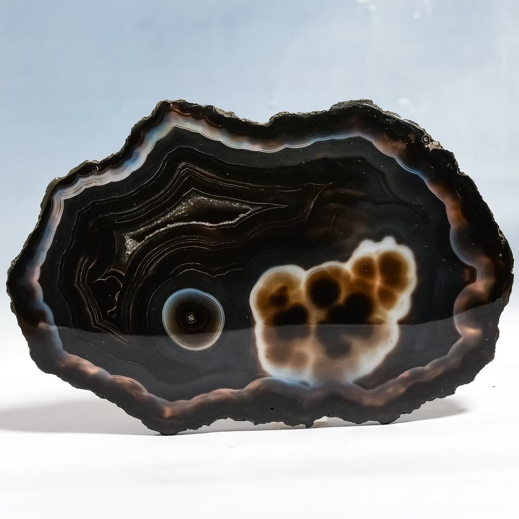 Black Condor Agate 8x11.5mm Natural Cabochon Fine Loose Gemstone 669.4Cts.