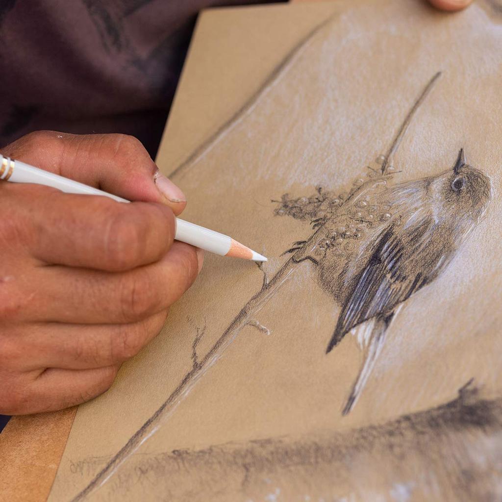 Brusarth Professional White Charcoal Pencil Set Set of 3 Sketch Highlight White Pencils for and Highlighting - Drawing, Sketching, Shading, Blending,