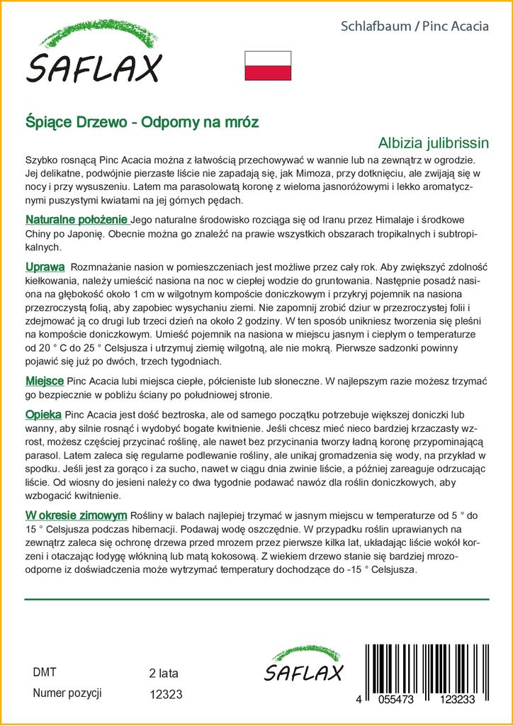 SAFLAX Pinc Akazie - 50 Samen - Albizia julibrissin