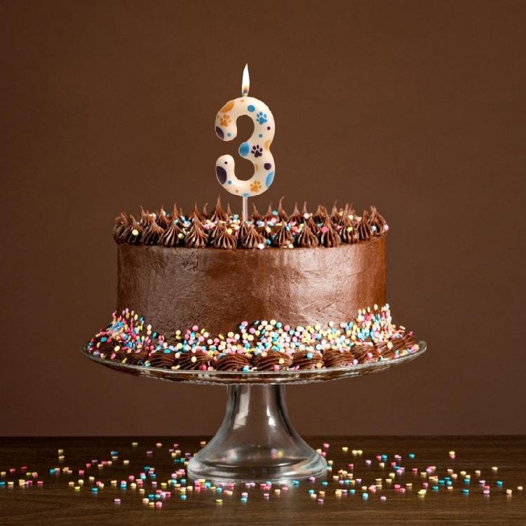 Hundtassar Tema Födelsedagsljus Siffra 0 till 9 Tassar Tårtdekorationer Tassavtryck Födelsedagskalasartiklar