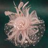 Feather Headpiece Women Mesh Hat Hair Band Headband Wedding Accessories Feather Headband Hat Party Hairpiece