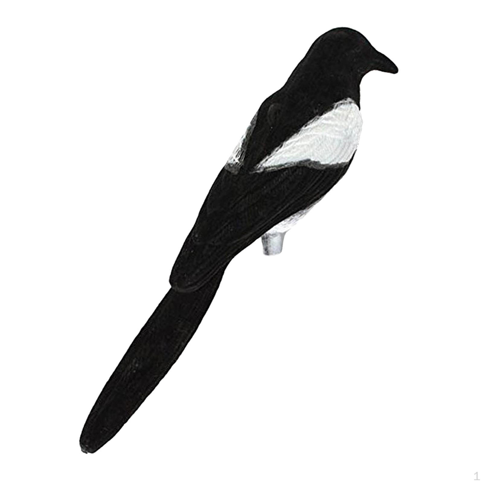 

Отпугиватель сорок Охота Стрельба Сад люди ворона