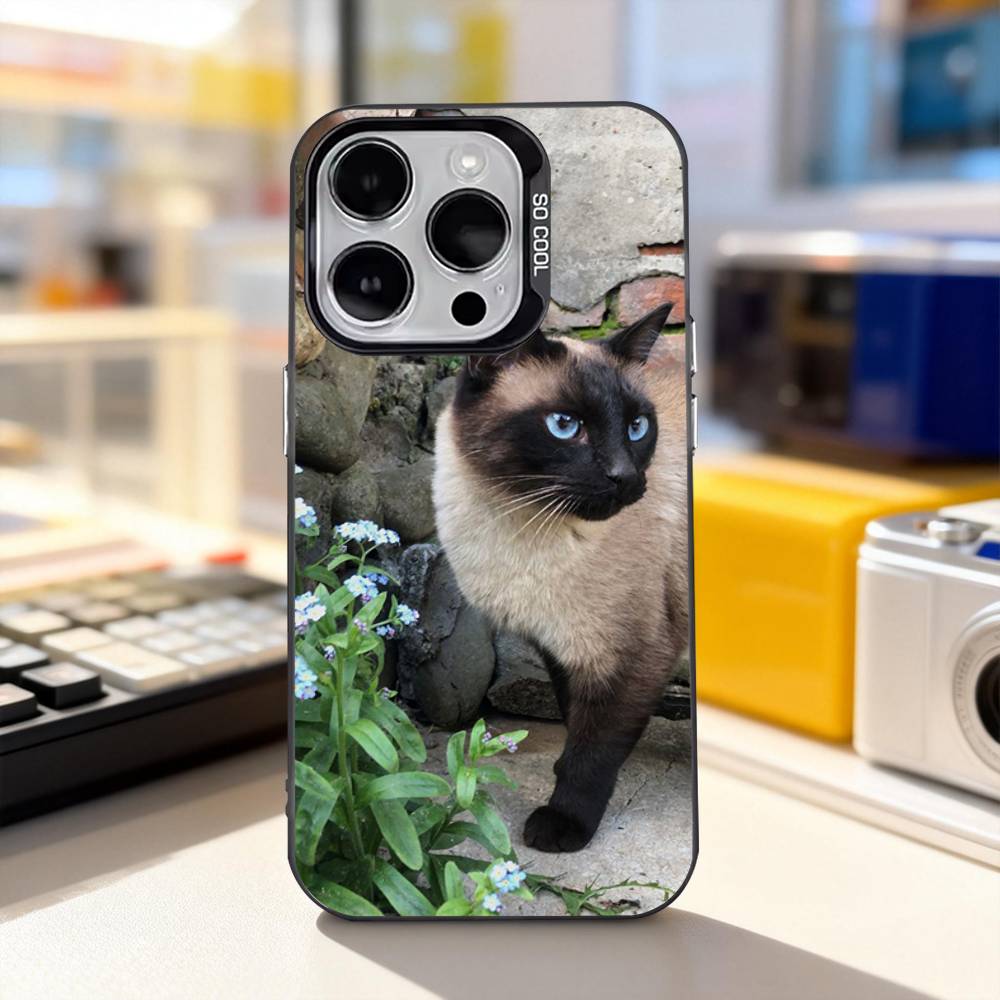 Funny Siamese Cats Cute For iPhone 11,12,13,14,15,16,17,Pro,Max,Plus,E,Air,Mini Phone Case IMD Matte Black