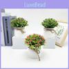 Planta Artificial en Maceta Gypsophila Paniculata L Para Decoración de Bodas y Accesorios de Fotografía