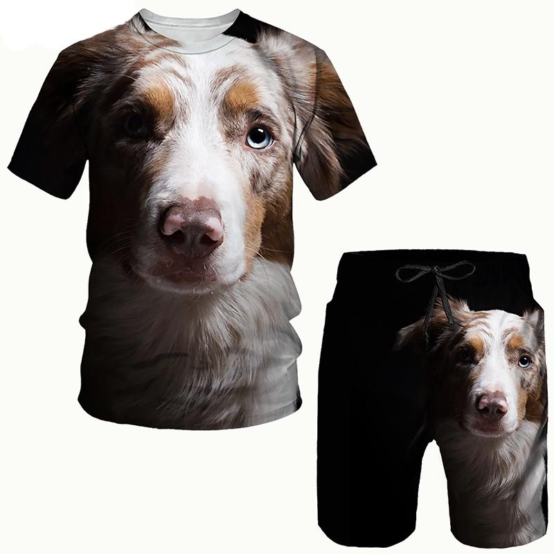 Sommer Lustiger Hund 3D-Druck T-Shirts Shorts Sets Herren Trainingsanzüge Übergroßes Kurzarm T-Shirt Hosen Set Herrenanzüge Kleidung