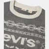 Levis Winter Warm Series Casual Comfortable Letter Print Knitted Crew Neck Long Sleeve Sweater Men Sweater 004ZJ-0000