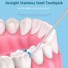 Edelstahl Zahnstocher Set Zahnseide Wiederverwendbare Zahnstocher Tragbare Zahnstocher Zahnseide Zahnreiniger Oral Reinigung WBL