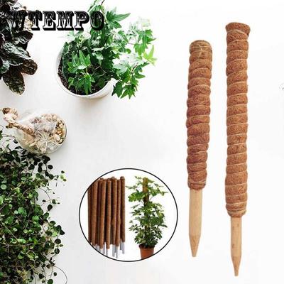 1PC Planta Escalada Vara Coir Musgo Vara Coir Musgo Palmeira Videiras Vara Suporte de Planta Extensão Escalada Plantas Internas Trepadeiras