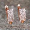 White Zircon Small Round Stone Hoop Earrings For Women Charm Rose Gold Color Tiny Earring Wedding Jewelry Gift