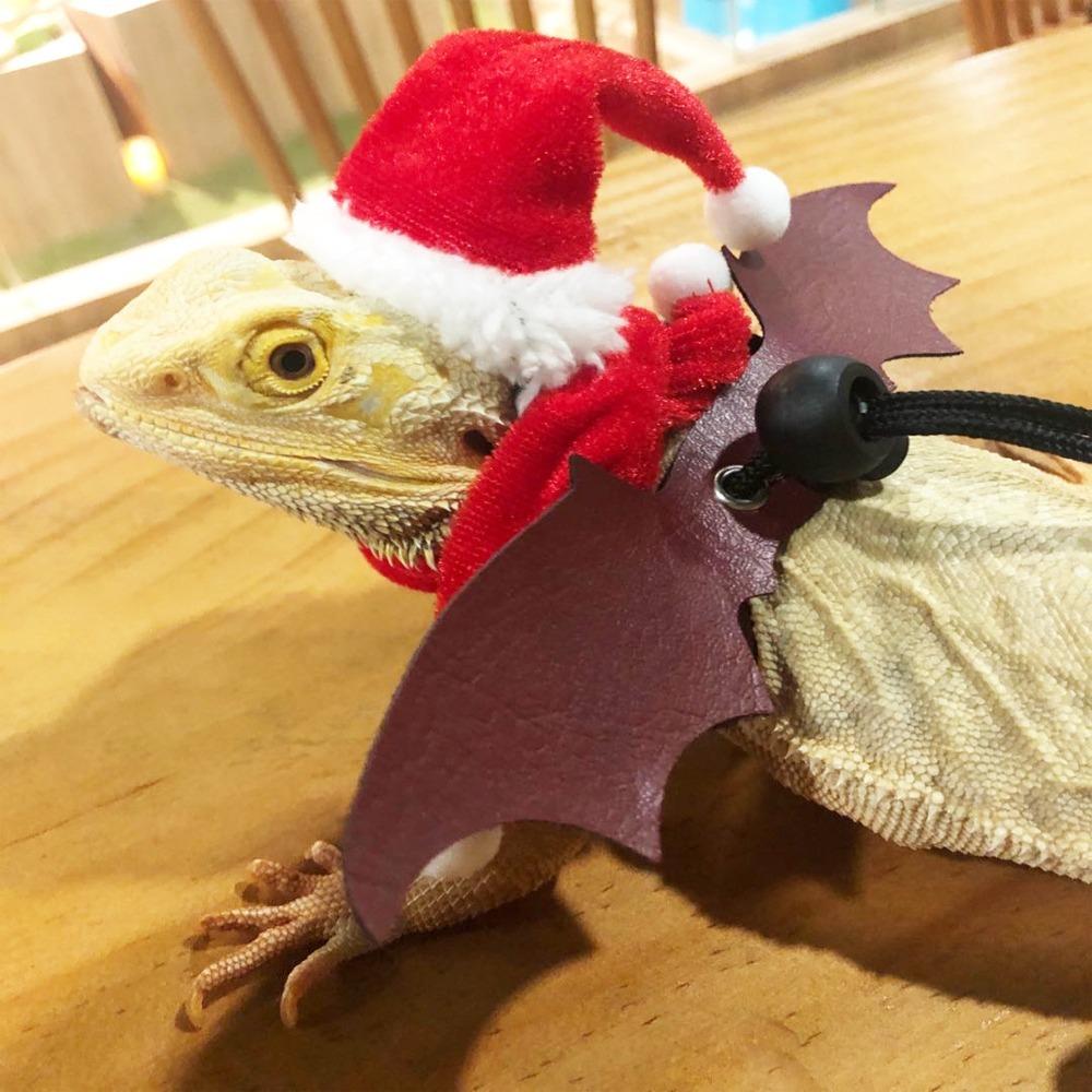 Polyester Reptilienhüte Belüften Reptilienbekleidung Kleidung Outfits Lustige Eidechse Weihnachtsmannmütze Eidechse