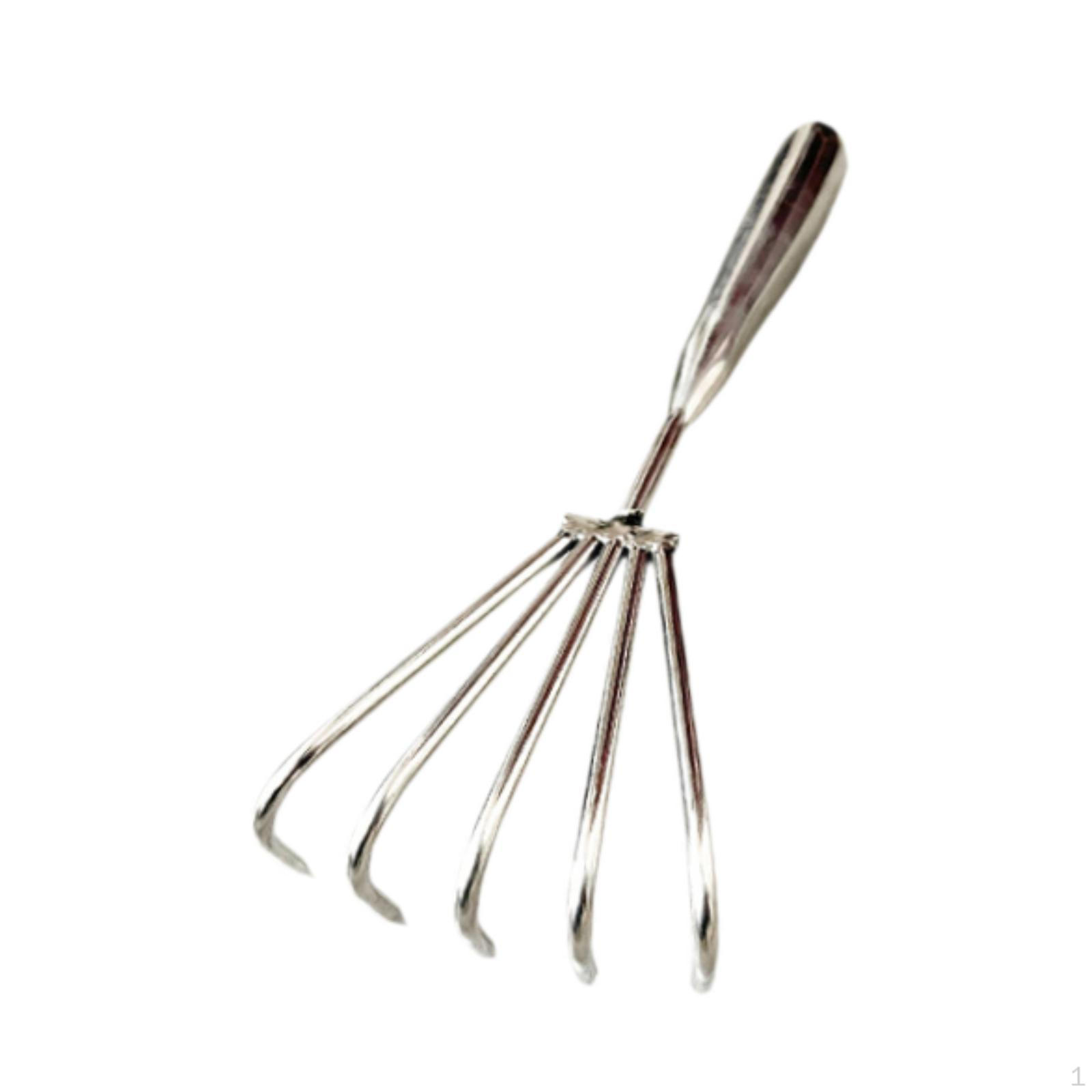 

Shape Stainless Steel Tool Easy Use Handheld Seafood Shell Remover for Collecting Leaf 5 tooth 5cm