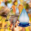 Yard Droplet Wild Bird Outdoors Water Feeder Waterer Large Capacity Bird Feeder