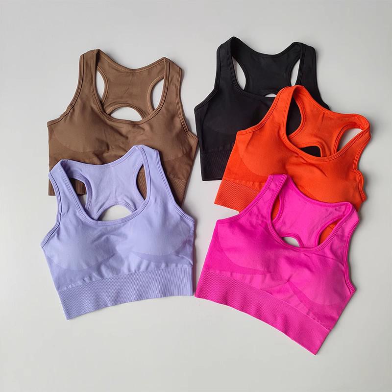 Women's Quick-Dry Seamless Sports Bra and Leggings Set - Shockproof Vest for Running and Yoga
